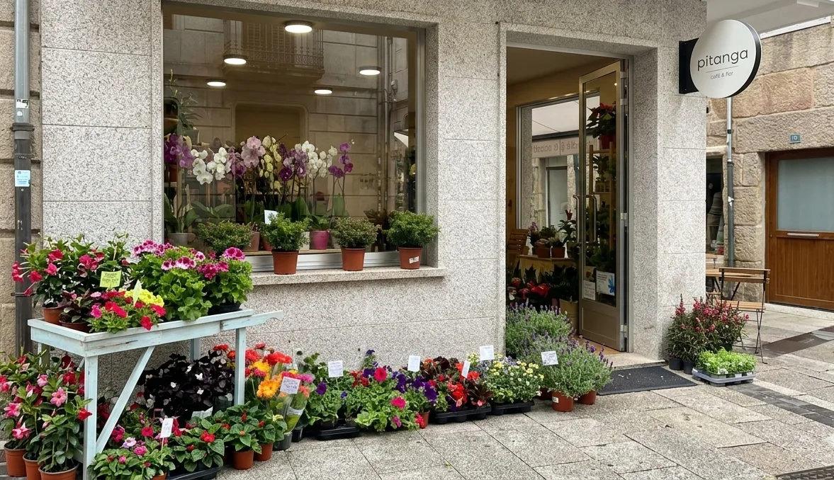 Pitanga — web creada por Ponte Dixital